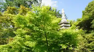 観音寺(千葉県)
