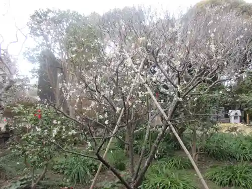 宝戒寺(神奈川県)