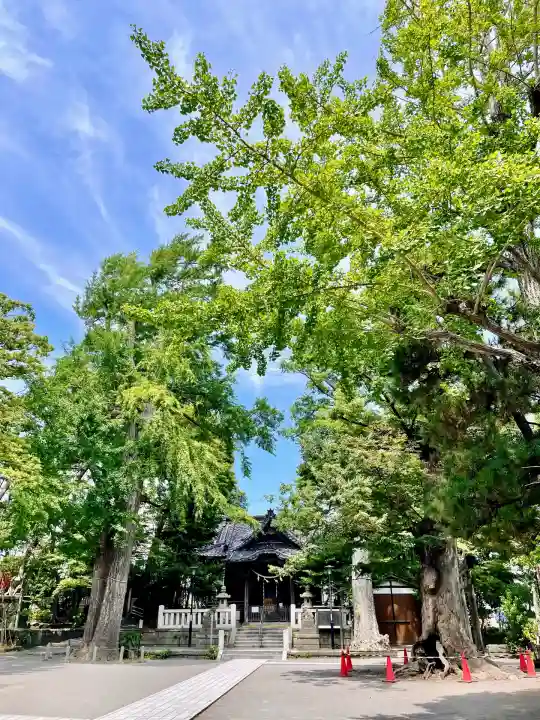 亀岡八幡宮(亀岡八幡神社)(神奈川県)