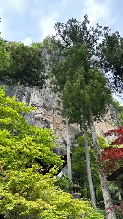 橋立堂(埼玉県)