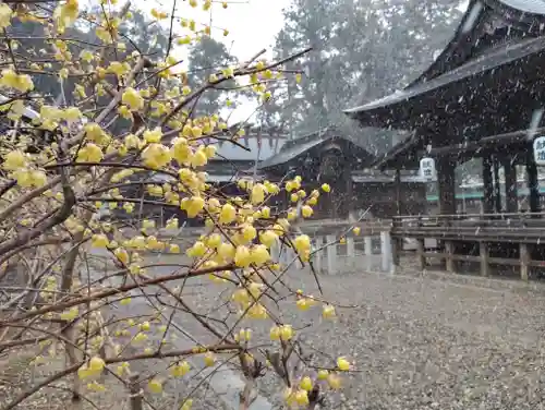 小御門神社(千葉県)