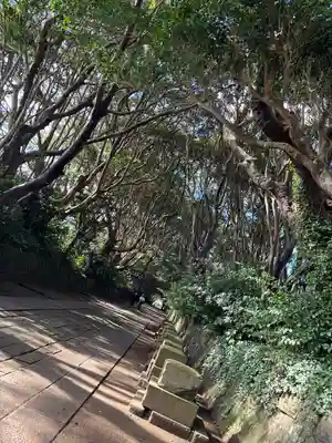 酒列磯前神社(茨城県)