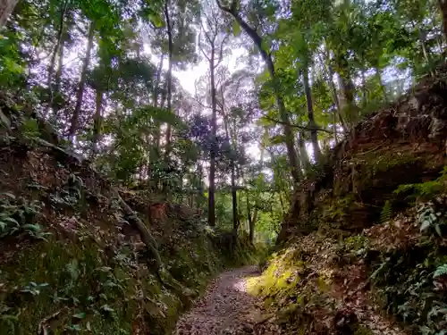 伊太祁曽神社の自然