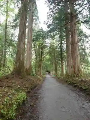 戸隠神社奥社(長野県)
