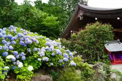 石母田 三吉神社の自然