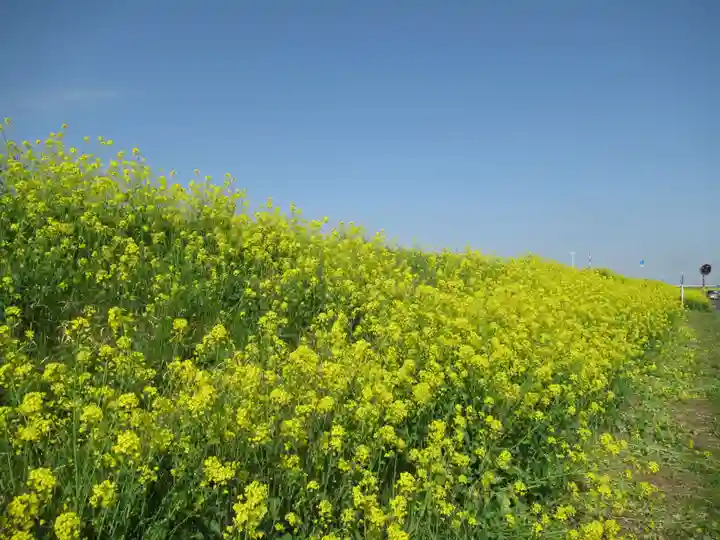 真光寺(千葉県)