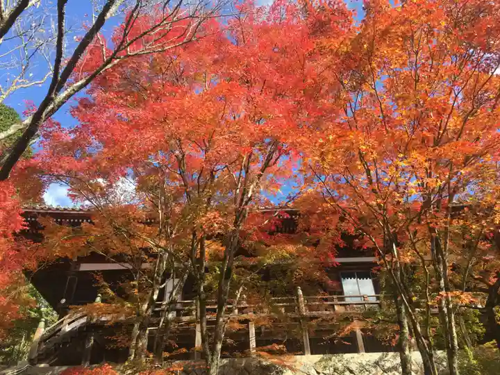 播州清水寺の自然