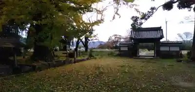 國分寺（国分寺）のその他建物
