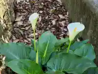 印南住吉神社の自然