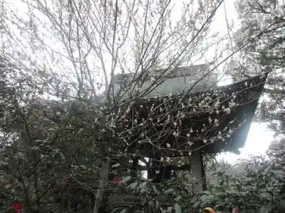 宝戒寺(神奈川県)