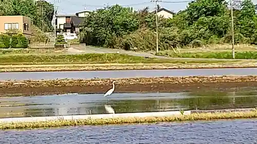 河獺弁天(史跡)(茨城県)