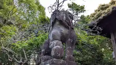 富岡天満宮の狛犬