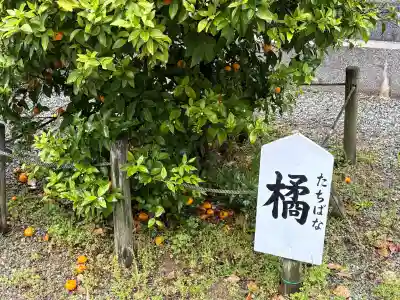 生島神社の{uncategorized: "未分類", other: "その他", undefined: "問題あり", building: "その他建物", grave: "お墓", sacred_gate: "鳥居", guardian: "狛犬", statue: "像", buddha: "仏像", history: "歴史", nature: "自然", garden: "庭園", animal: "動物", pagoda: "塔", temizu: "手水舎", mountain_gate: "山門・神門", sanctuary: "本殿・本堂", subordinate: "末社・摂社", art: "芸術", scenery: "景色", jizo: "地蔵", ema: "絵馬", goshuin: "御朱印", omikuji: "おみくじ", items: "授与品その他", amulet: "お守り", goshuincho: "御朱印帳", eats: "食事", festival: "お祭り", votive_dance: "神楽", shichigosan: "七五三参", wedding: "結婚式", experience: "体験その他", initially: "初詣", around: "周辺", anti_infection: "感染症対策"}