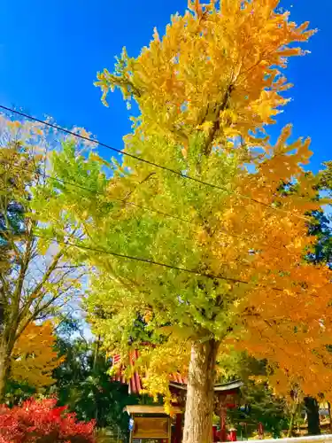 厳島神社の自然