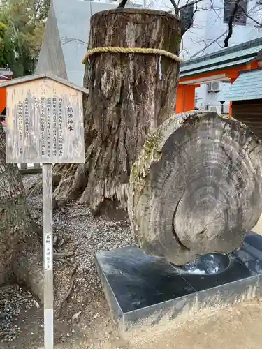 生田神社の自然