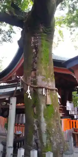 武信稲荷神社の自然