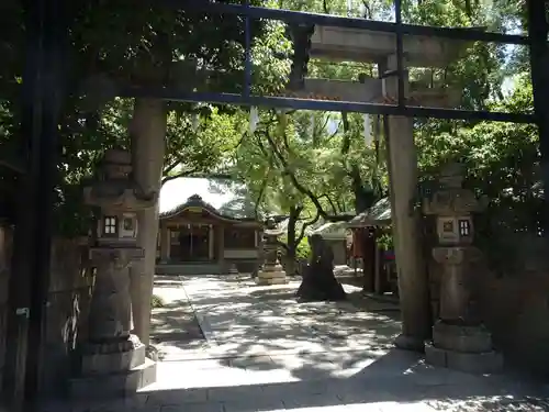 素盞烏尊神社の鳥居