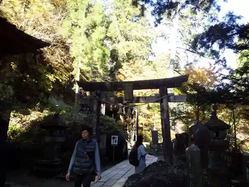 榛名神社の鳥居