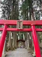 桜松神社の鳥居