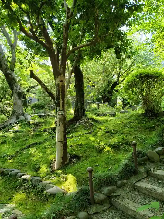 乃木神社の自然