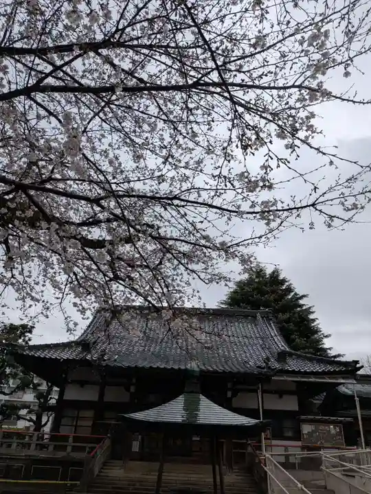 新井薬師(梅照院)(東京都)