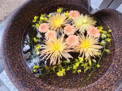 高宮八幡宮(福岡県)