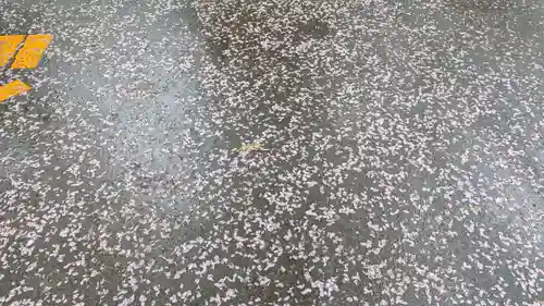 上川神社(北海道)