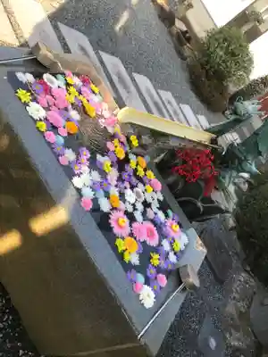 多聞寺の手水舎