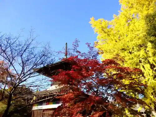 鑁阿寺のその他建物