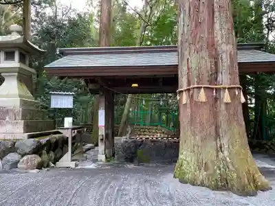 椿大神社の手水舎