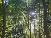 櫛玉比賣命神社(愛媛県)