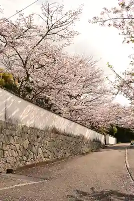 常信寺(愛媛県)