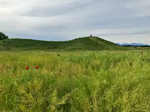 熊野神社(琵琶塚古墳）(栃木県)