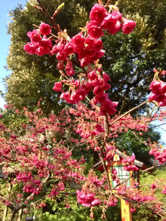 明王院(満願寺別院)の自然