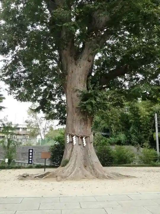 素鵞神社の自然