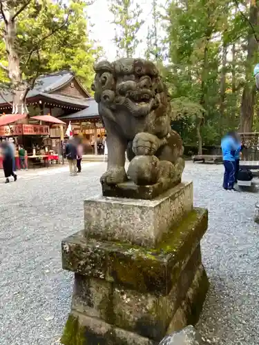 宝登山神社の狛犬