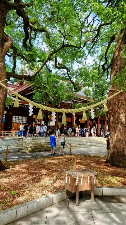 明治神宮(東京都)