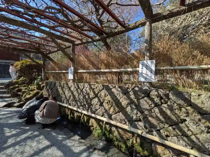 富士山本宮浅間大社(静岡県)