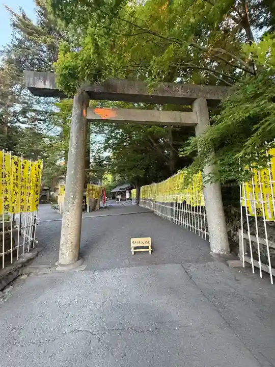 椿大神社の{uncategorized: "未分類", other: "その他", undefined: "問題あり", building: "その他建物", grave: "お墓", sacred_gate: "鳥居", guardian: "狛犬", statue: "像", buddha: "仏像", history: "歴史", nature: "自然", garden: "庭園", animal: "動物", pagoda: "塔", temizu: "手水舎", mountain_gate: "山門・神門", sanctuary: "本殿・本堂", subordinate: "末社・摂社", art: "芸術", scenery: "景色", jizo: "地蔵", ema: "絵馬", goshuin: "御朱印", omikuji: "おみくじ", items: "授与品その他", amulet: "お守り", goshuincho: "御朱印帳", eats: "食事", festival: "お祭り", votive_dance: "神楽", shichigosan: "七五三参", wedding: "結婚式", experience: "体験その他", initially: "初詣", around: "周辺", anti_infection: "感染症対策"}