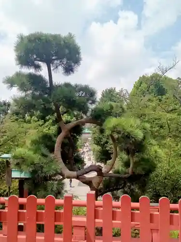 清水観音堂(東京都)