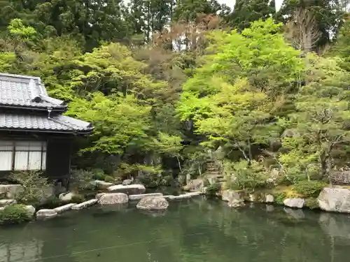 百済寺の庭園