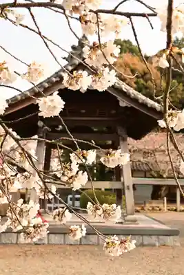 実報寺(愛媛県)
