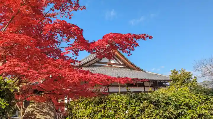 西雲院(京都府)
