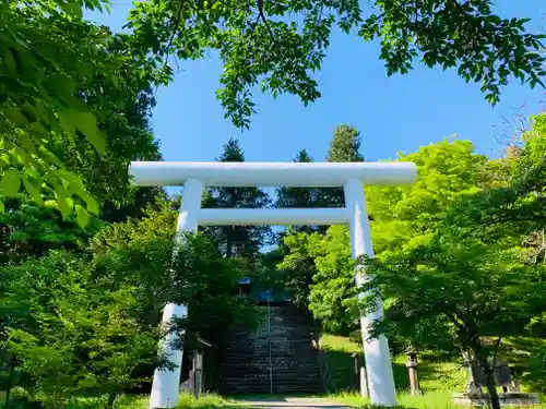 土津神社｜こどもと出世の神さまの鳥居