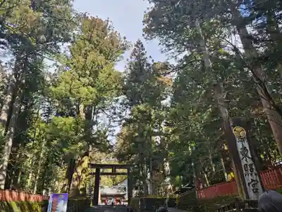 日光東照宮(栃木県)