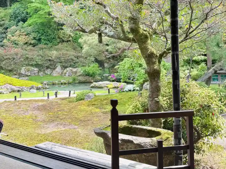 青蓮院門跡の{uncategorized: "未分類", other: "その他", undefined: "問題あり", building: "その他建物", grave: "お墓", sacred_gate: "鳥居", guardian: "狛犬", statue: "像", buddha: "仏像", history: "歴史", nature: "自然", garden: "庭園", animal: "動物", pagoda: "塔", temizu: "手水舎", mountain_gate: "山門・神門", sanctuary: "本殿・本堂", subordinate: "末社・摂社", art: "芸術", scenery: "景色", jizo: "地蔵", ema: "絵馬", goshuin: "御朱印", omikuji: "おみくじ", items: "授与品その他", amulet: "お守り", goshuincho: "御朱印帳", eats: "食事", festival: "お祭り", votive_dance: "神楽", shichigosan: "七五三参", wedding: "結婚式", experience: "体験その他", initially: "初詣", around: "周辺", anti_infection: "感染症対策"}