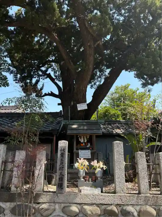 龍蔵寺(愛知県)