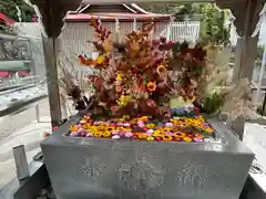 金蛇水神社(宮城県)