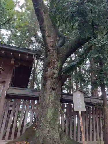 駒形神社(岩手県)