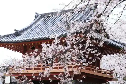 喜多院の{uncategorized: "未分類", other: "その他", undefined: "問題あり", building: "その他建物", grave: "お墓", sacred_gate: "鳥居", guardian: "狛犬", statue: "像", buddha: "仏像", history: "歴史", nature: "自然", garden: "庭園", animal: "動物", pagoda: "塔", temizu: "手水舎", mountain_gate: "山門・神門", sanctuary: "本殿・本堂", subordinate: "末社・摂社", art: "芸術", scenery: "景色", jizo: "地蔵", ema: "絵馬", goshuin: "御朱印", omikuji: "おみくじ", items: "授与品その他", amulet: "お守り", goshuincho: "御朱印帳", eats: "食事", festival: "お祭り", votive_dance: "神楽", shichigosan: "七五三参", wedding: "結婚式", experience: "体験その他", initially: "初詣", around: "周辺", anti_infection: "感染症対策"}